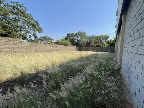 Comerciais / Galpão em Jaboticabal - foto 15