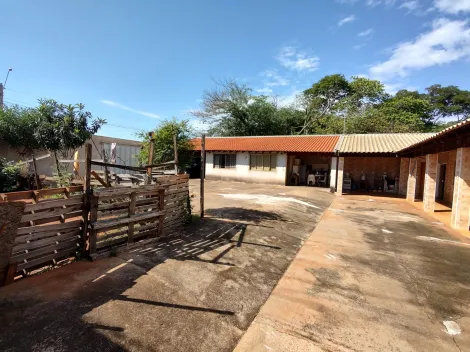 Casas / Edícula em Jaboticabal - foto 1