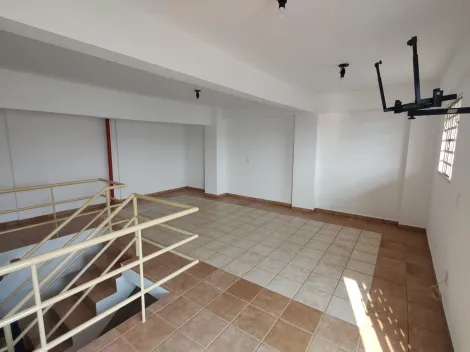 Apartamentos Padrão