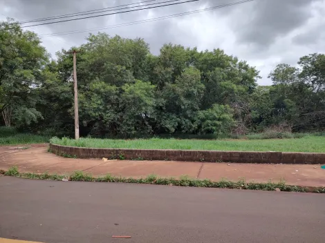 Terrenos Misto
