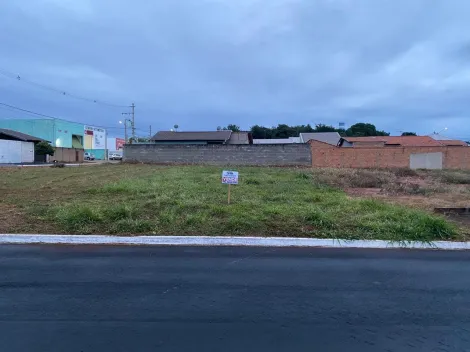 Terrenos Misto