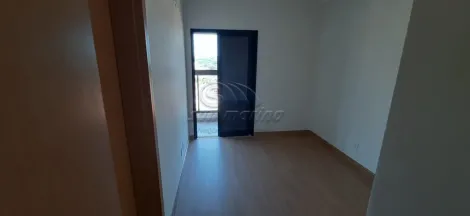 Apartamentos Padrão