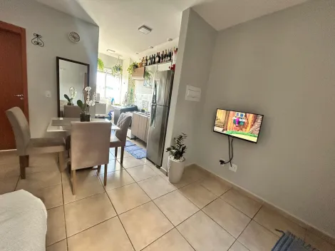 Apartamentos Padrão