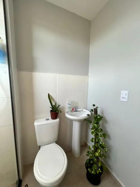 Apartamentos / Padrão em Jaboticabal - foto 7