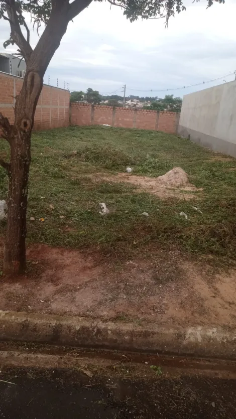 Alugar Terrenos / Residencial em Jaboticabal. apenas R$ 120.000,00